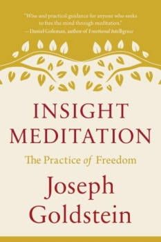 Joseph Goldstein : Insight Meditation The Practice of Freedom