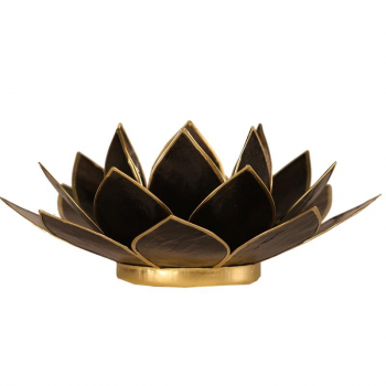 Lotus Licht mit Goldrand