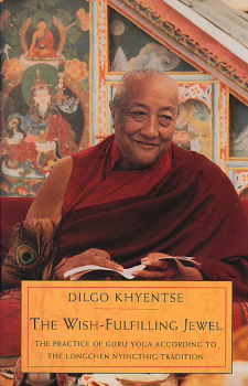 Dilgo Khentse Rinppoche : The Wish-Fulfilling Jewel Used