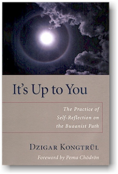 Kongtrul, Dzigar : IT'S UP TO YOU: The Practice of Self-Reflection on the Buddhist Path