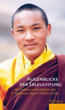 Karmapa Ogyen Trinley Dorje : Augenblicke der Erleuchtung (GEB)