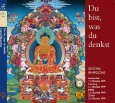 Sogyal Rinpoche : Du bist, was du denkst (2 Audio CD)