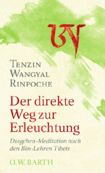 Tenzin Wangyal Rinpoche : Der direkte Weg zur Erleuchtung (Gebraucht)