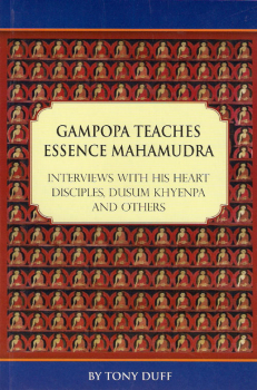 Tony Duff : Gampopa Teaches Essence Mahamudra