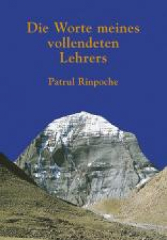 Patrul Rinpoche : Die Worte meines vollendeten Lehrers [Broschiert]