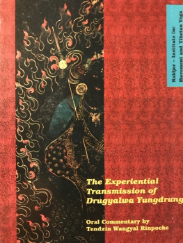 Tenzin Wangyal Rinpoche : The Experiential Transmission of Druggyalwa Yungdrung VOL 2