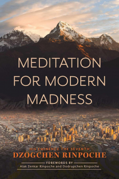 DZOGCHEN RINPOCHE : MEDITATION FOR MODERN MADNESS HIS EMINENCE THE SEVENTH