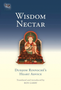 Dudjom Rinpoche's Heart Advice : Wisdom Nectar  (Tsadra, Band 5)