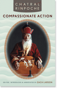 Chatral Rinpoche : Compassionate Action (Used)