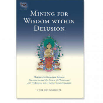 Karl Brunnholzl : Mining for Wisdom (Tsadra, Band 10)