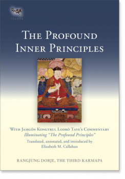 The Third Karmapa : The Profound Inner Principles (Tsadra, Band 14)