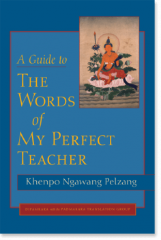 Khenpo Ngawang Pelzang : A GUIDE TO THE WORDS OF MY PERFECT TEACHER