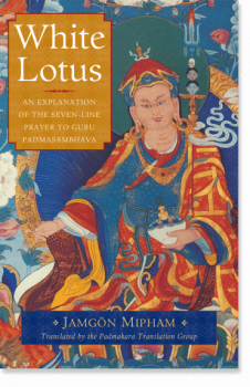 Mipham Rinpoche : White Lotus