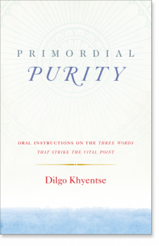 Dilgo Khyentse : Primordial Purity