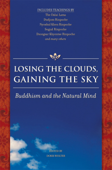DORIS WOLTER : LOSING THE CLOUDS, GAINING THE SKY Buddhism and the Natural Mind