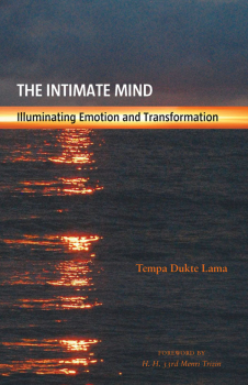 Tempa Duke Lama : The Intimate Mind: Illuminating Emotion and Transformation