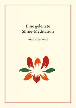 Eine geleitete Shine-Meditation