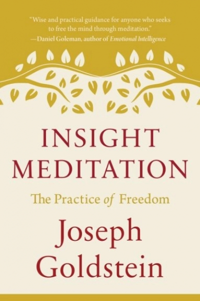 Joseph Goldstein : Insight Meditation The Practice of Freedom