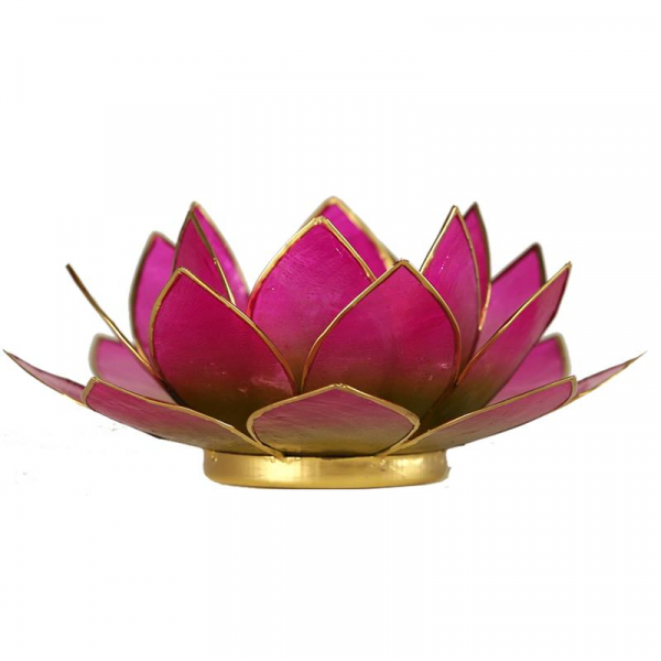 Lotus Licht mit Goldrand