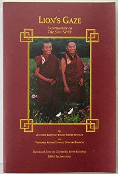 Khenpo Palden Sherab : Lion's Gaze: A Commentary on Tsig Sum Nedek