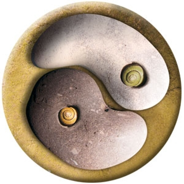 Magnet Yin Yang