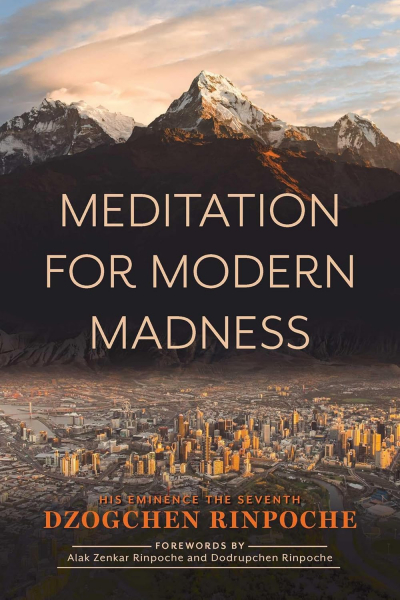 DZOGCHEN RINPOCHE : MEDITATION FOR MODERN MADNESS HIS EMINENCE THE SEVENTH