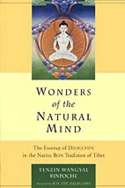 Tenzin Wangyal : Wonders of the Natural Mind