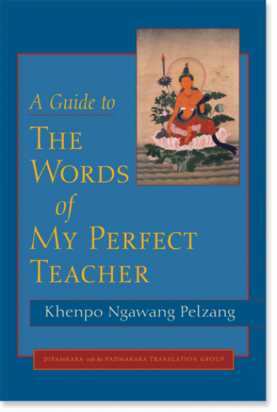 Khenpo Ngawang Pelzang : A GUIDE TO THE WORDS OF MY PERFECT TEACHER - USED