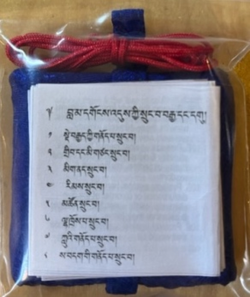 109 Protections of Lama Gongdus