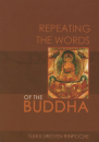 Tulku Urgyen Rinpoche : Repeating the Words of the Buddha