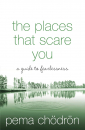 Pema Chodron : The Places That Scare You - A Guide to Fearlessness in Difficult Times