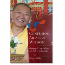 Ringu Tulku : Confusion Arises as Wisdom